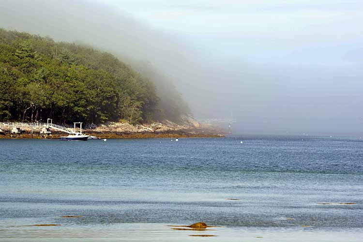 fog rolling in